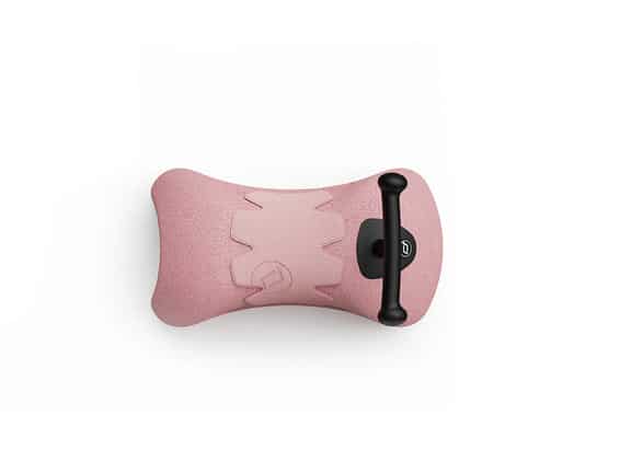 MYFIRST-ROSE-TOPVIEW_003.478.2_576x448